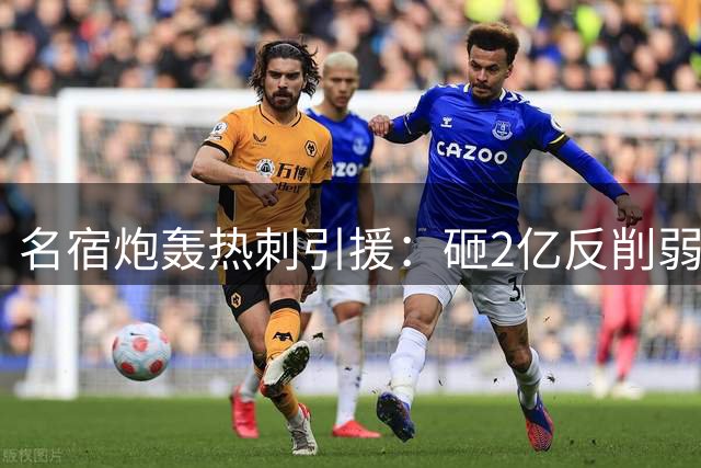 名宿炮轰热刺引援：砸2亿反削弱阵容 放走核心后防更糟