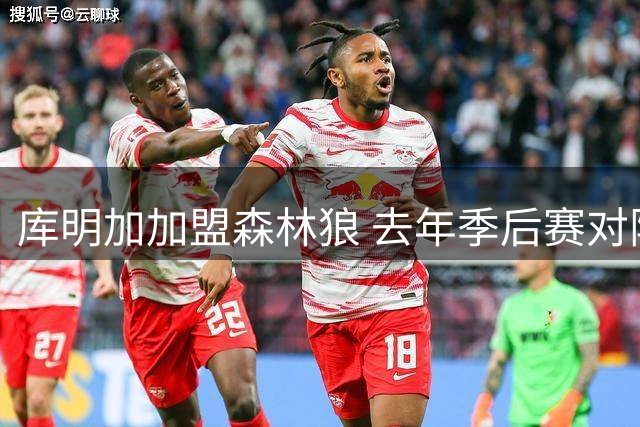 库明加加盟森林狼 去年季后赛对阵狼队表现出色
